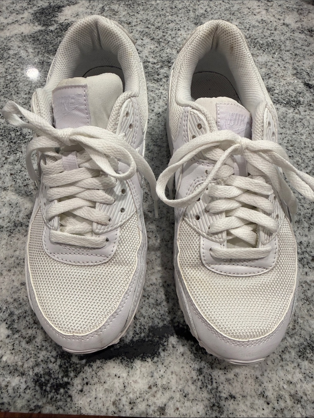 Nike Air Max Sneakers